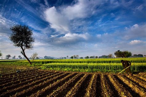 the nature of agriculture