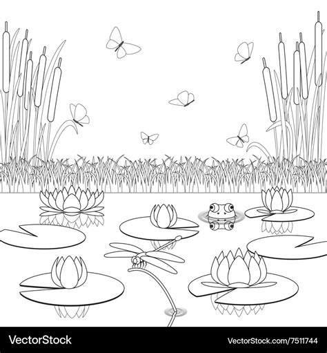 the pond coloring pages