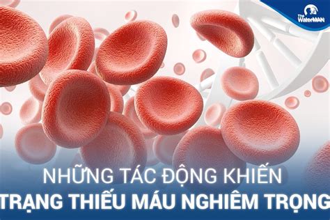 15 trái cây tốt cho bà bầu 3 tháng cuối, phụ nữ có thai nên ăn