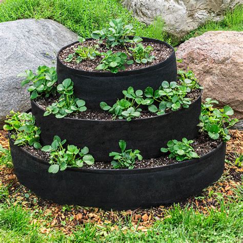 tiered strawberry planter