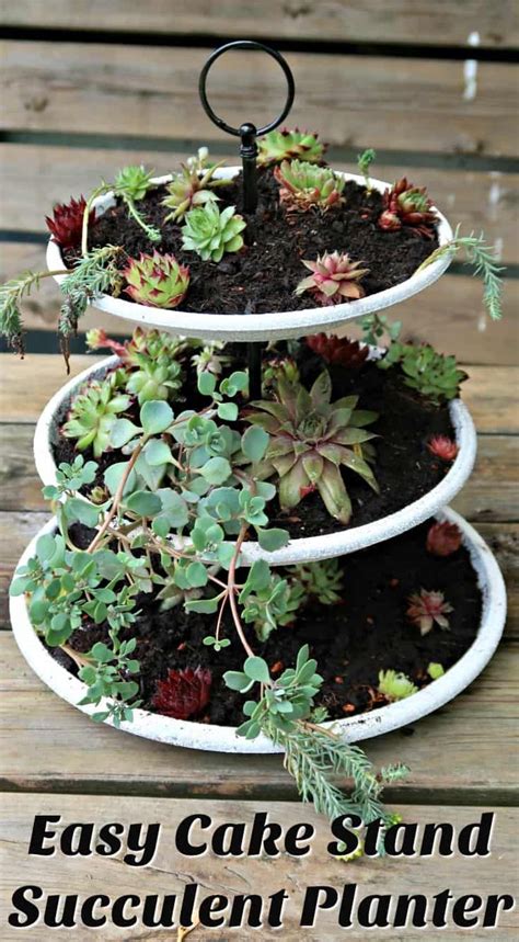 tiered succulent planter