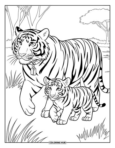 tiger coloring pages pdf