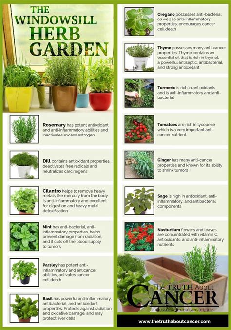 tips for growing herbs