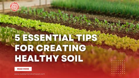 tips for healthy soil