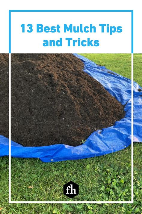 tips for mulching