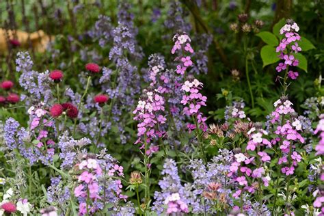 tips for planting a cottage garden