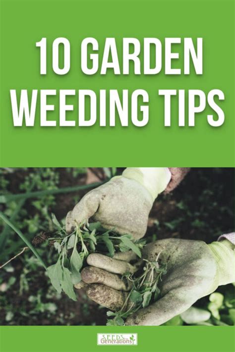 tips for weeding garden