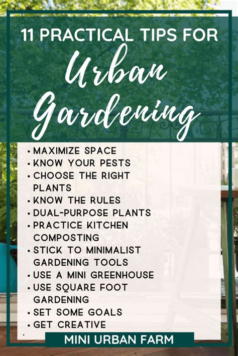 tips on urban gardening