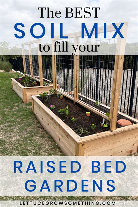 topsoil for raised beds