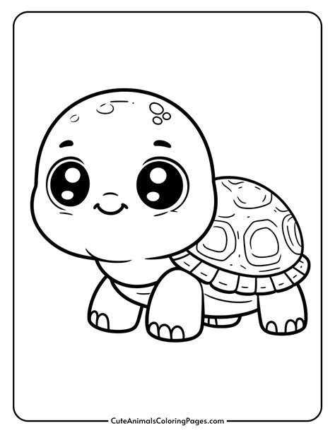 tortoise colouring pages