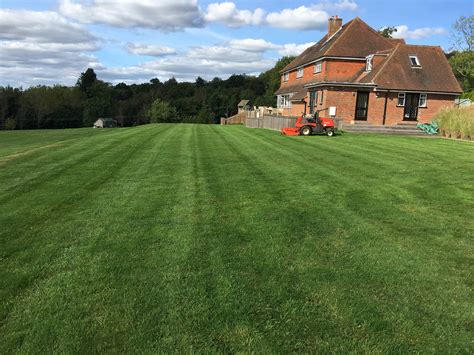 total lawn care
