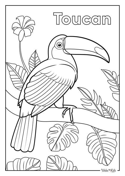 toucan coloring page