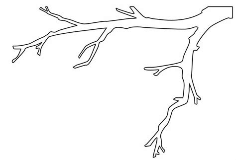 tree branch coloring pages
