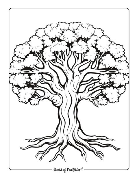 tree coloring pages pdf