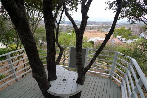 tree deck ideas