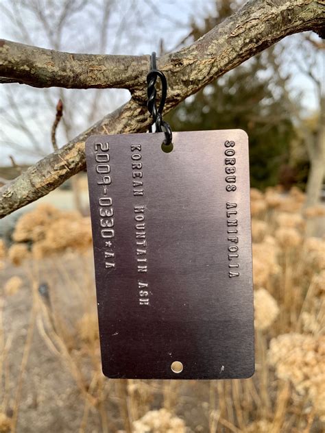 tree tag