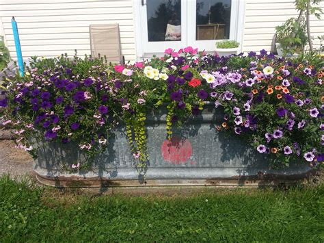 trough planter ideas