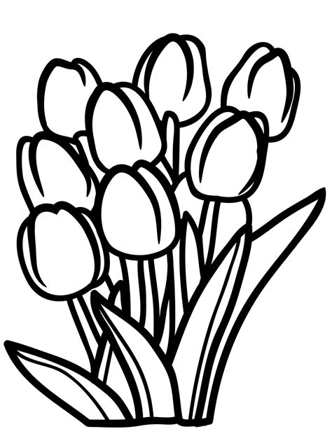 tulip coloring pages