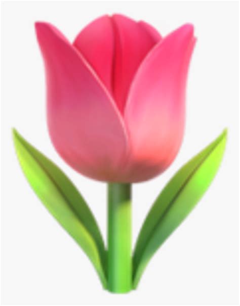 tulip emoji