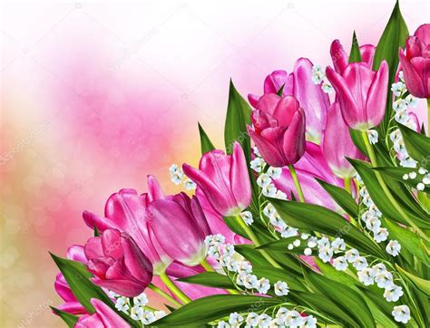 tulips and lilies