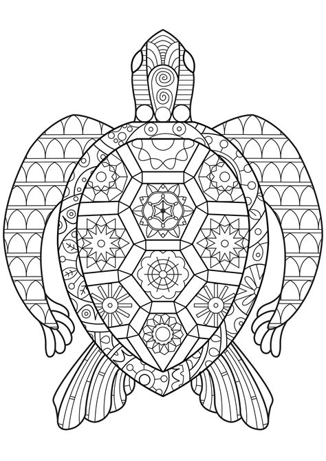 turtle adult coloring page
