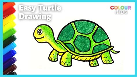 turtle drawing easy with colour