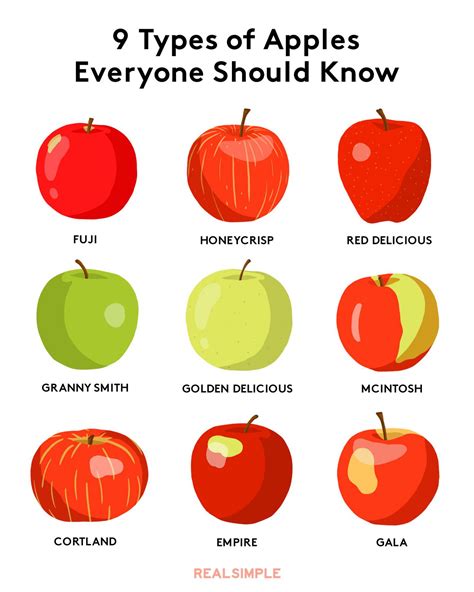 Types Of Apples Chart