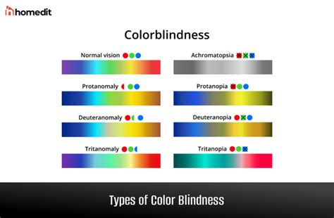 Types Of Color Blindness Coloring Wallpapers Download Free Images Wallpaper [coloring436.blogspot.com]