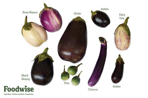 types of eggplant