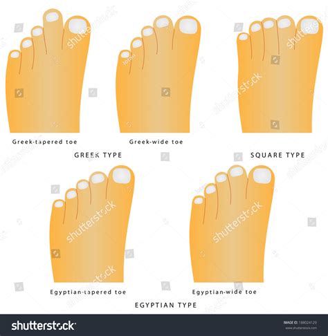 Types Of Toes Chart