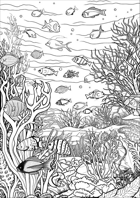 under the sea colouring pages for adults