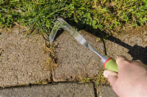 using a patio knife for weeding