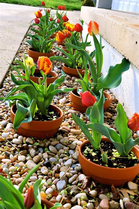 using pots in flower beds