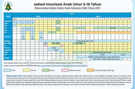 vaksin anak