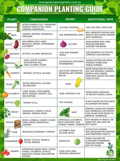 vegetable and flower companion planting chart