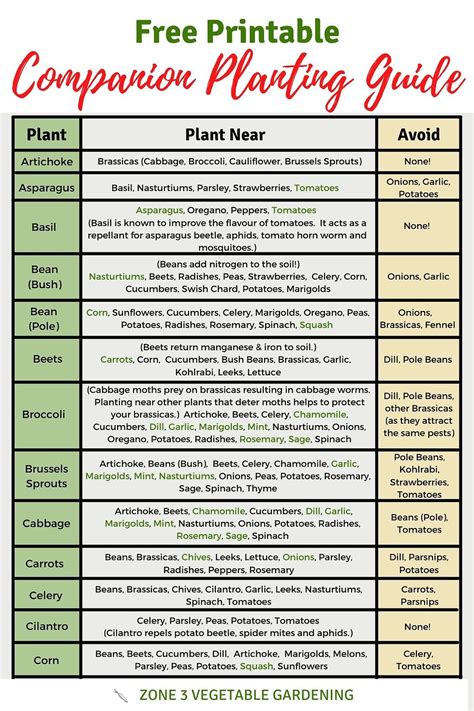 vegetable garden printable companion planting chart