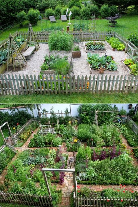 vegetable gardening for beginners