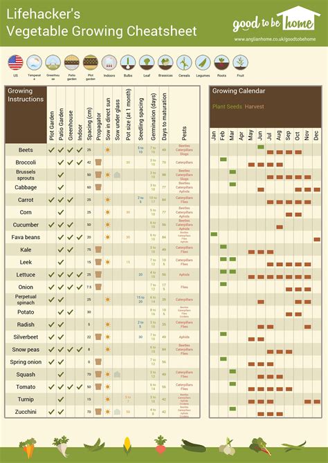 vegetable growing cheat sheet