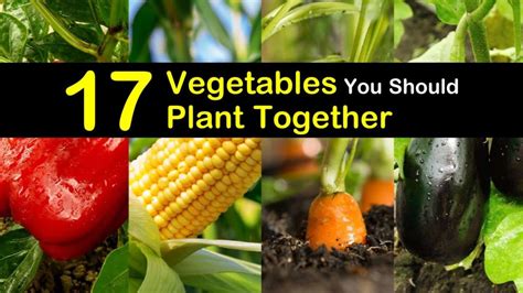vegetable plants that grow well together