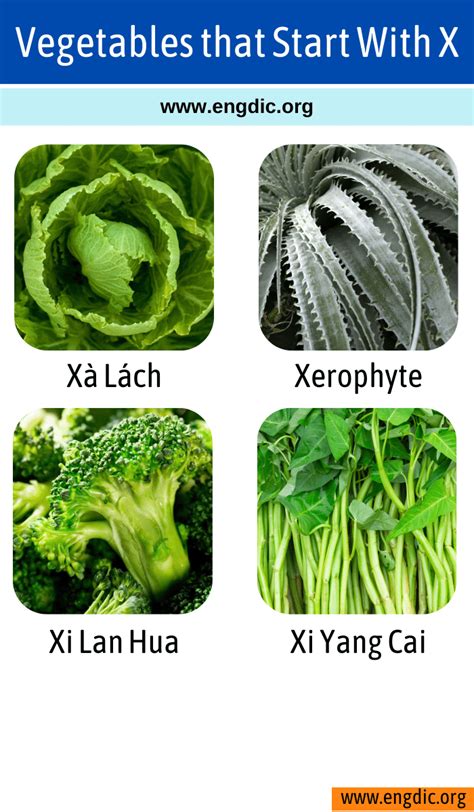 vegetables that start with x