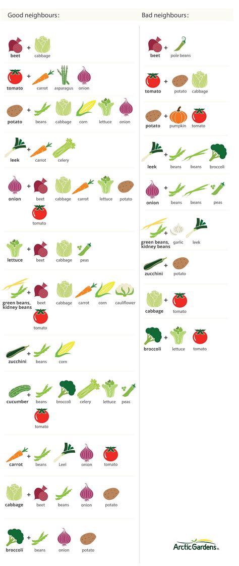 vegetables to plant next to each other