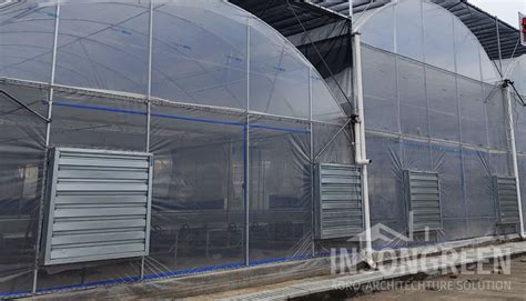 ventilating greenhouses