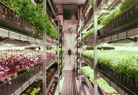 vertical farming container