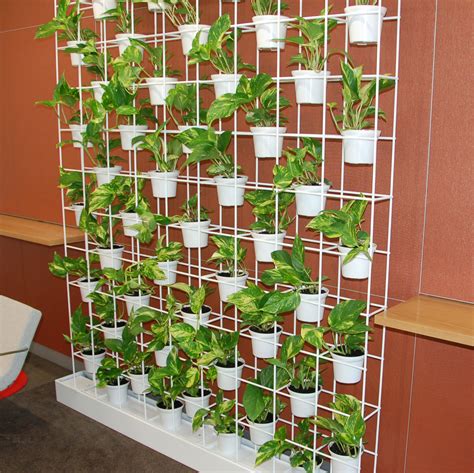 vertical garden frame