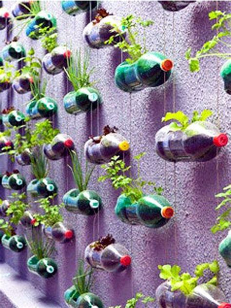 vertical garden from plastic bottles