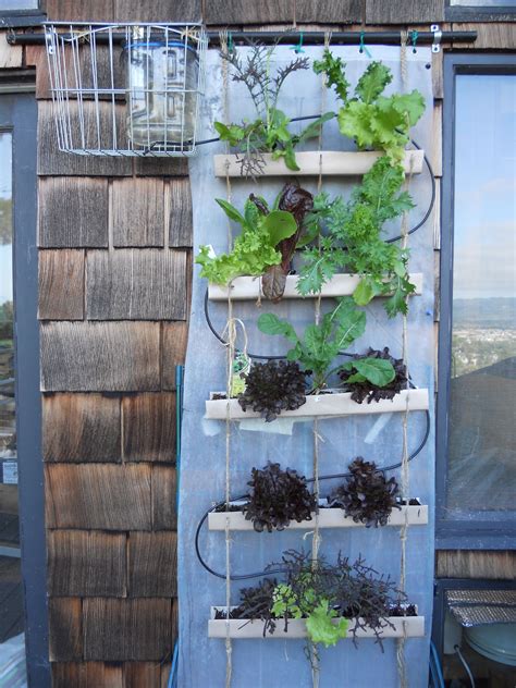 vertical garden irrigation system