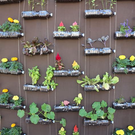 vertical garden plastic