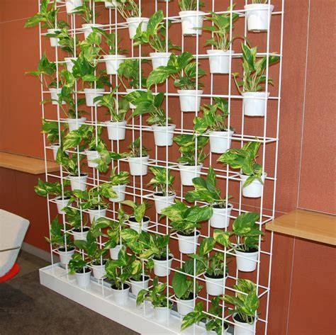 vertical garden wall frame