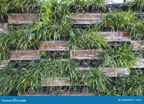 vertical grass garden