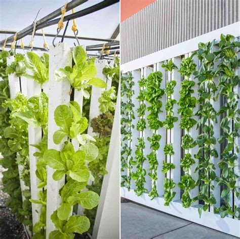 vertical hydroponic garden